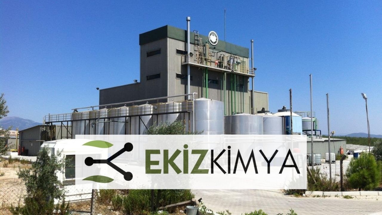 ekiz