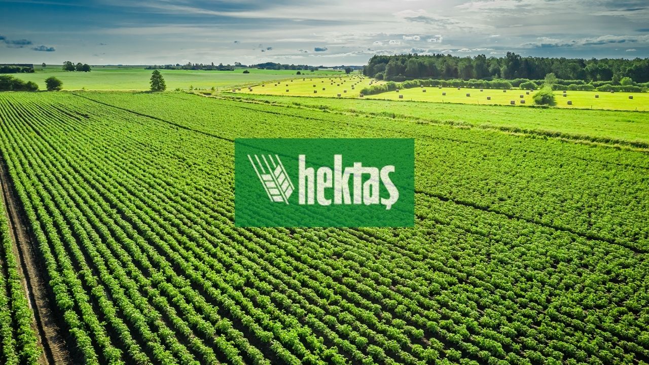 hekts-2