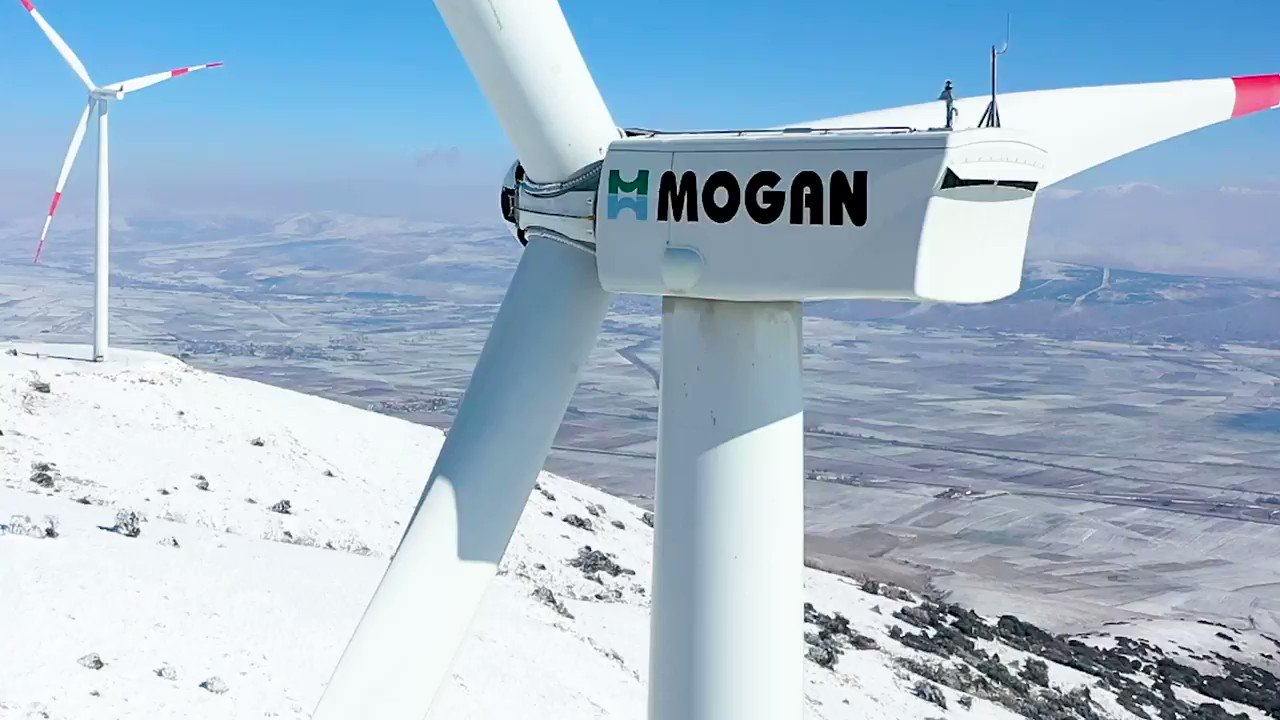 mogan-2