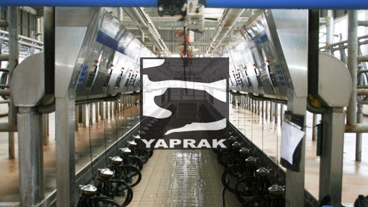 yaprk
