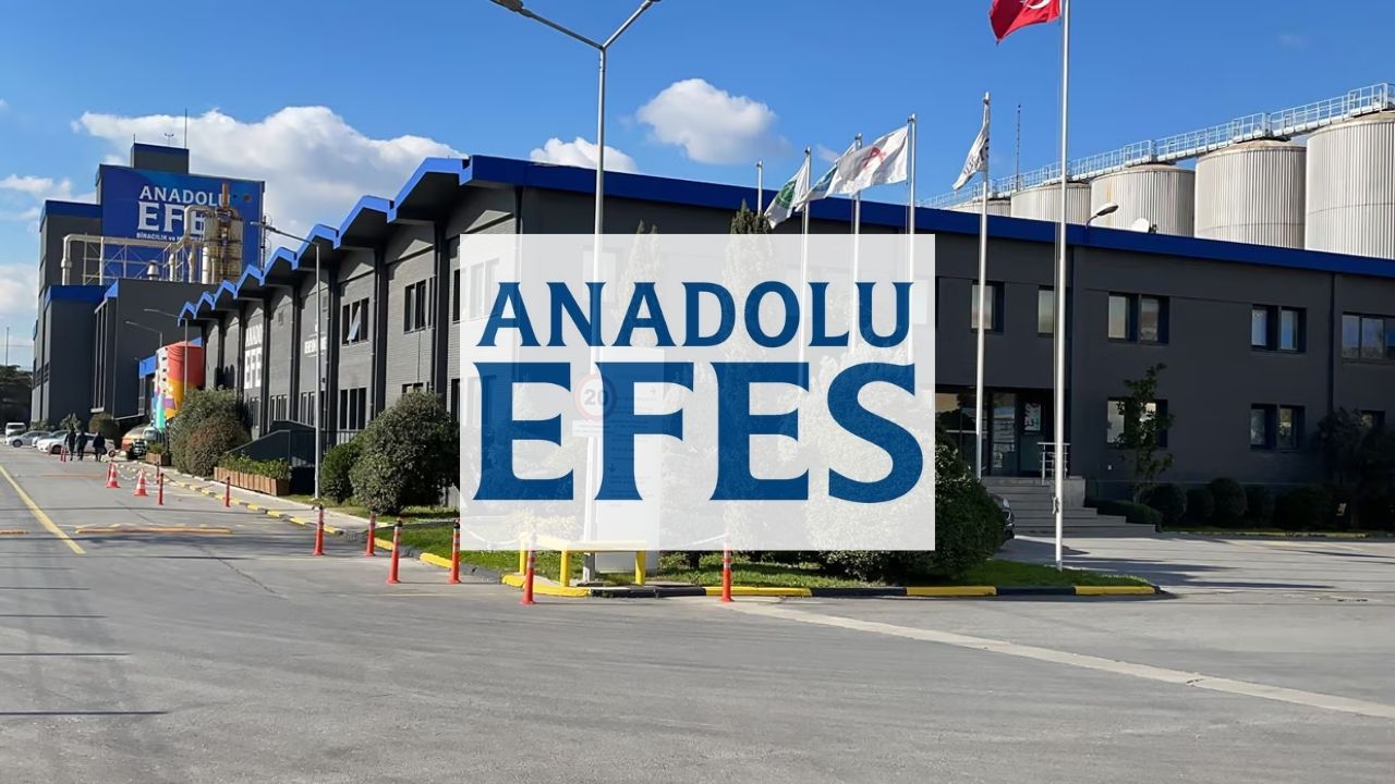 aefes-2