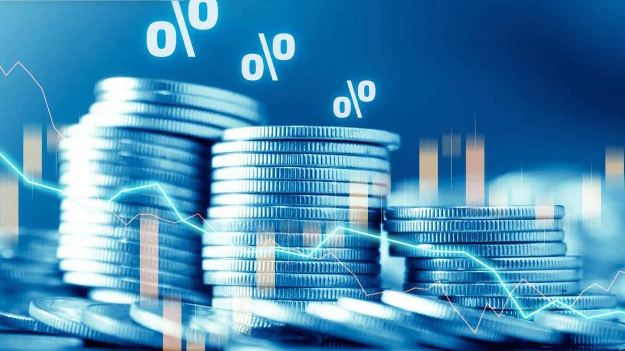 borsa-temettu-sermaye-piyasa